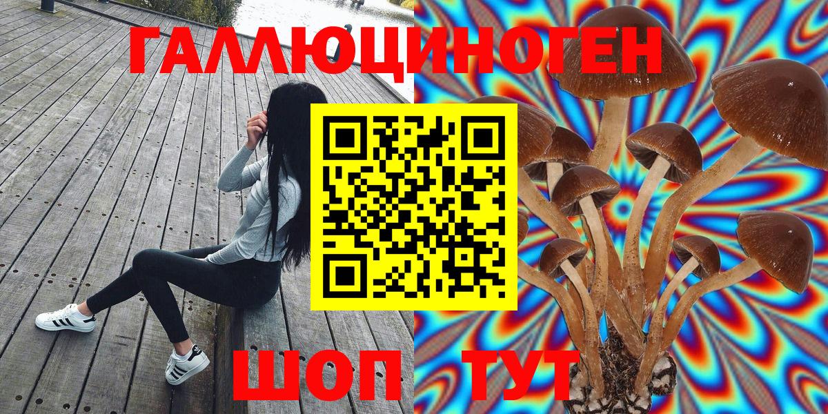 Галлюциногенные грибы Cubensis  Вход с VPN  Пушкино 